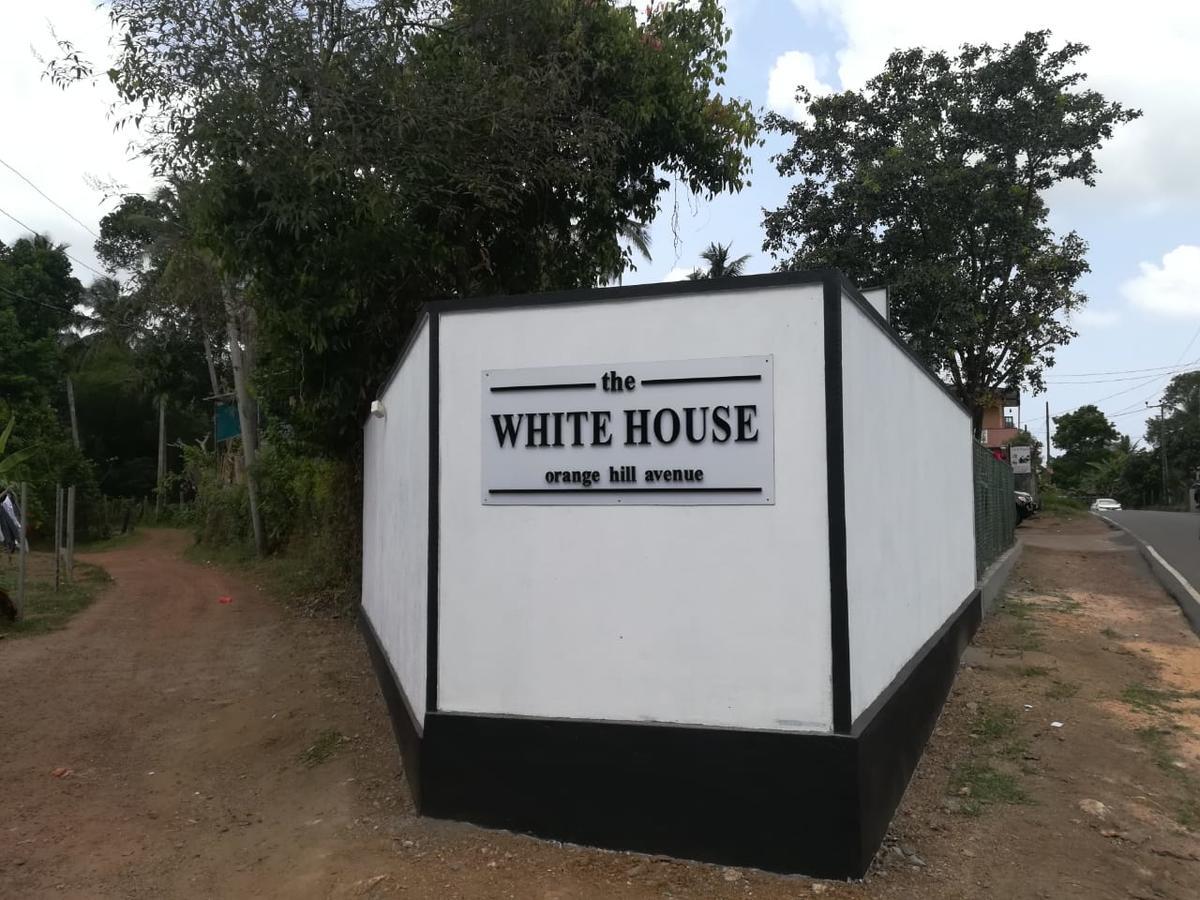White House - Orange Hill Avenue Apartment Ragama Exterior photo